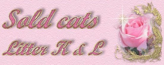 Sold cats - K+L